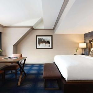 Suite con Cama King